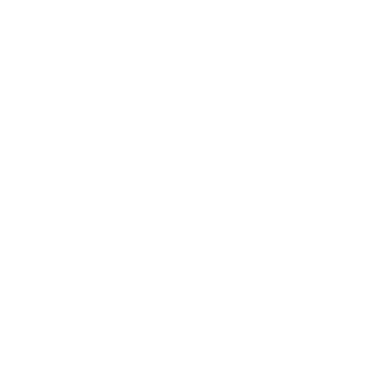 Bonsai - Lost Kiwi Designs