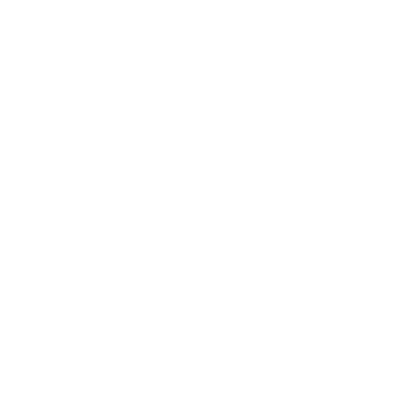 Rose Window - Lost Kiwi Designs