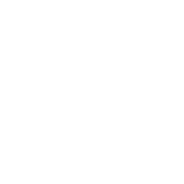 Cactus - Lost Kiwi Designs