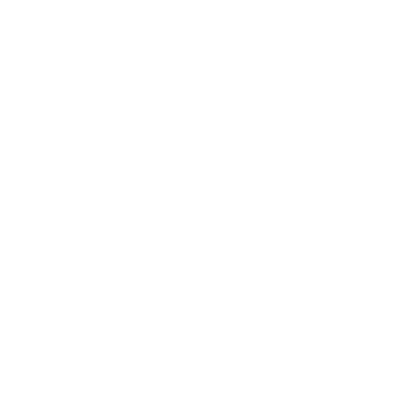 Organic Star - Lost Kiwi Designs