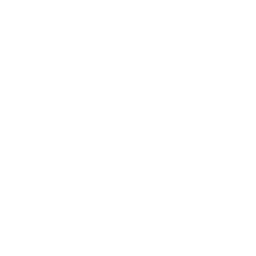 Snake - Lost Kiwi Designs