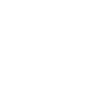T-Rex - Lost Kiwi Designs