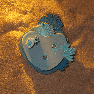 Reef Brooch