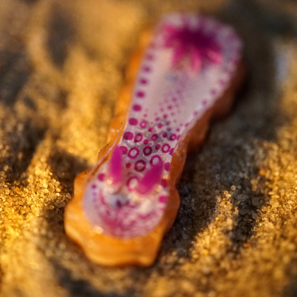 Nudibranch Magnetic Charms