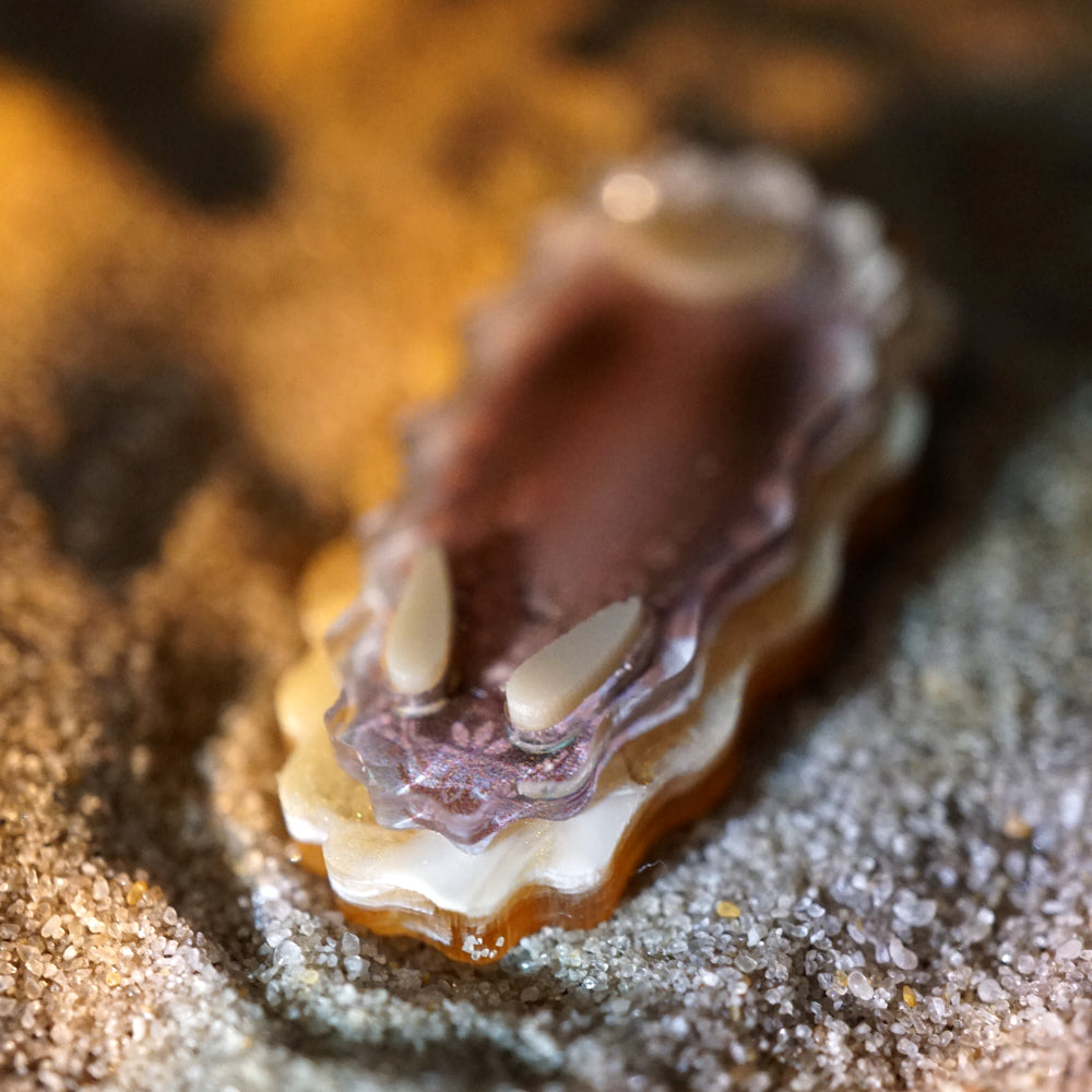 Nudibranch Magnetic Charms