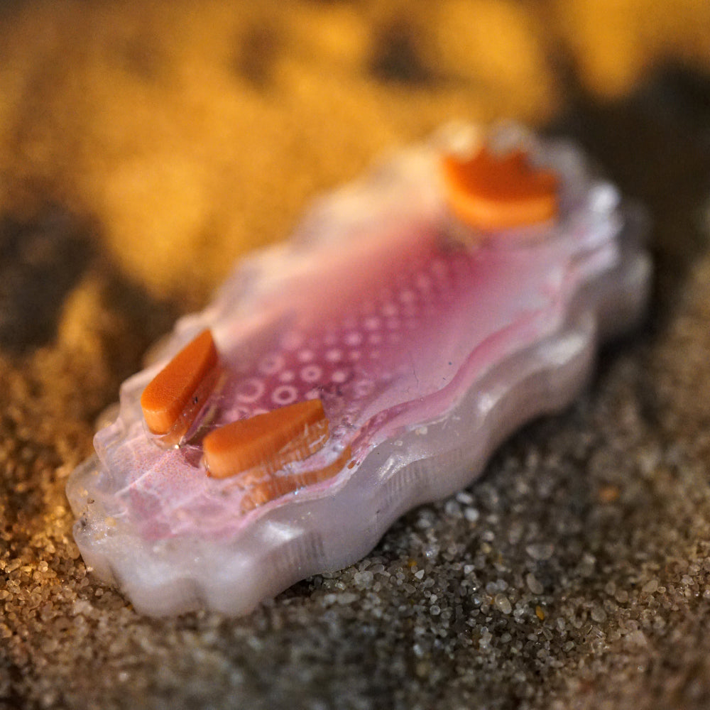 Nudibranch Magnetic Charms