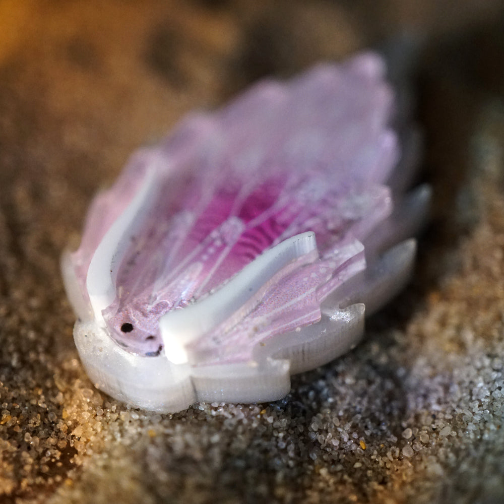 Nudibranch Magnetic Charms