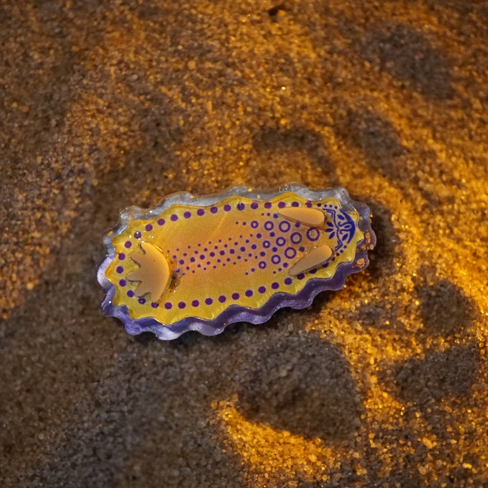 Nudibranch Magnetic Charms