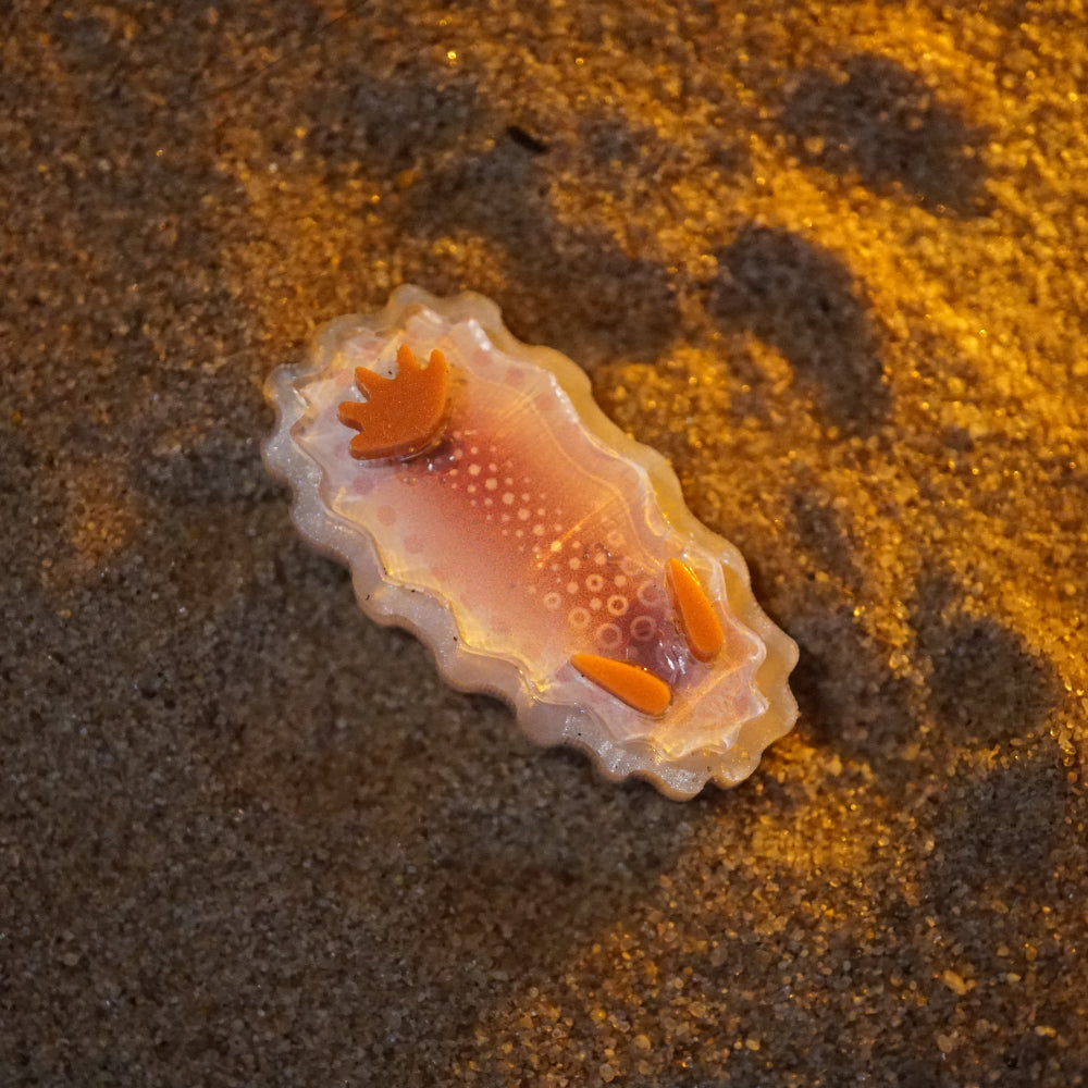 Nudibranch Magnetic Charms