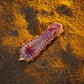 Nudibranch Magnetic Charms