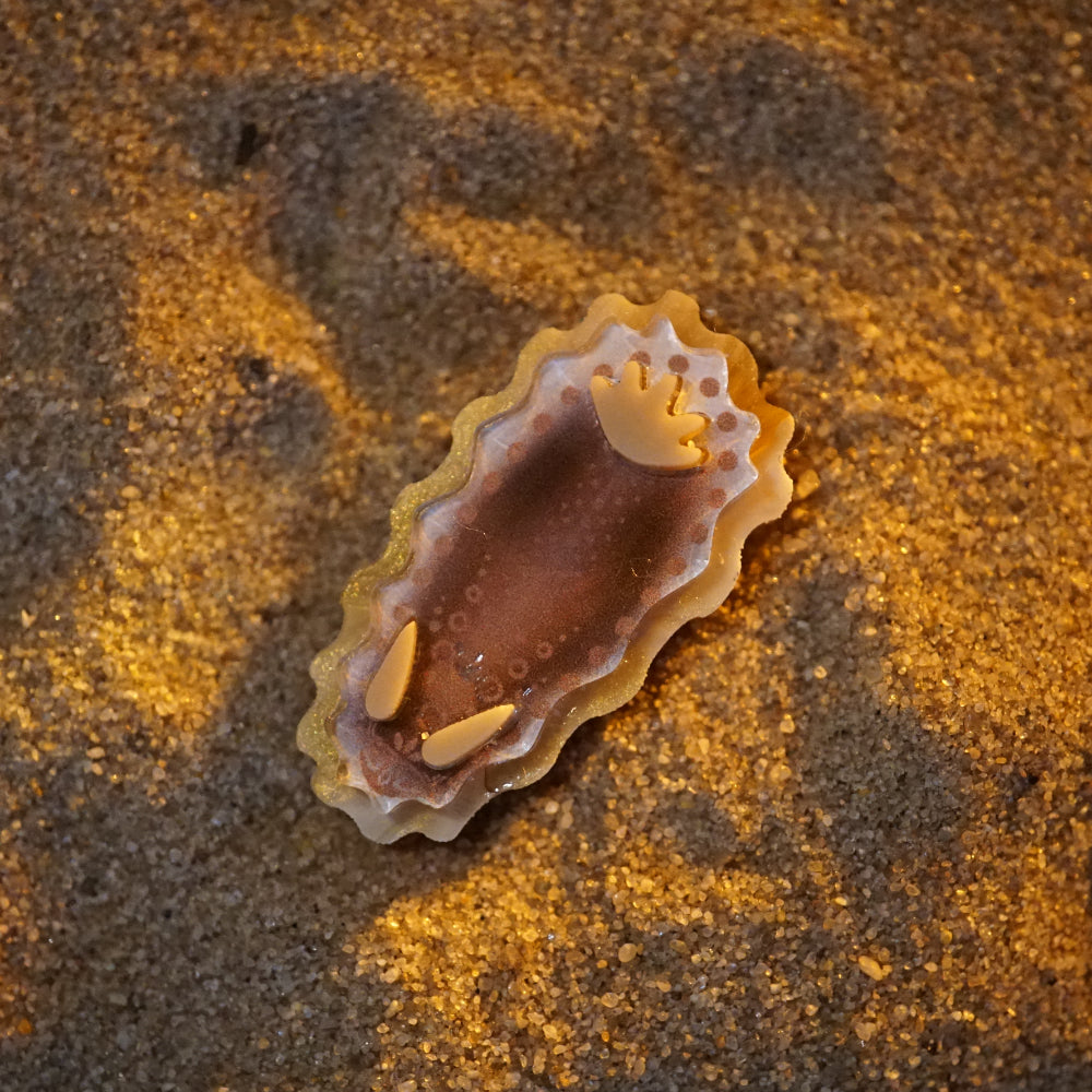 Nudibranch Magnetic Charms