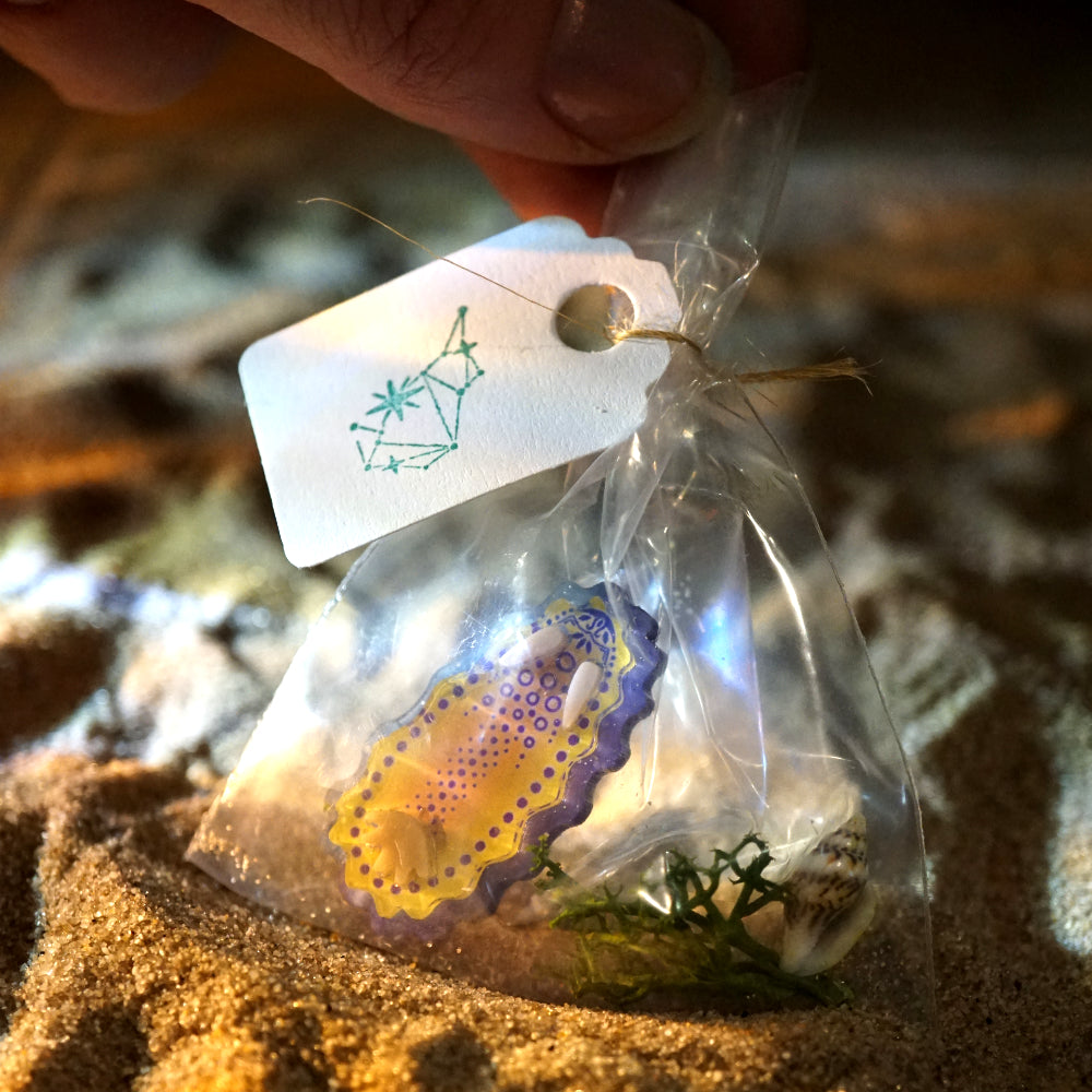 Nudibranch Magnetic Charms