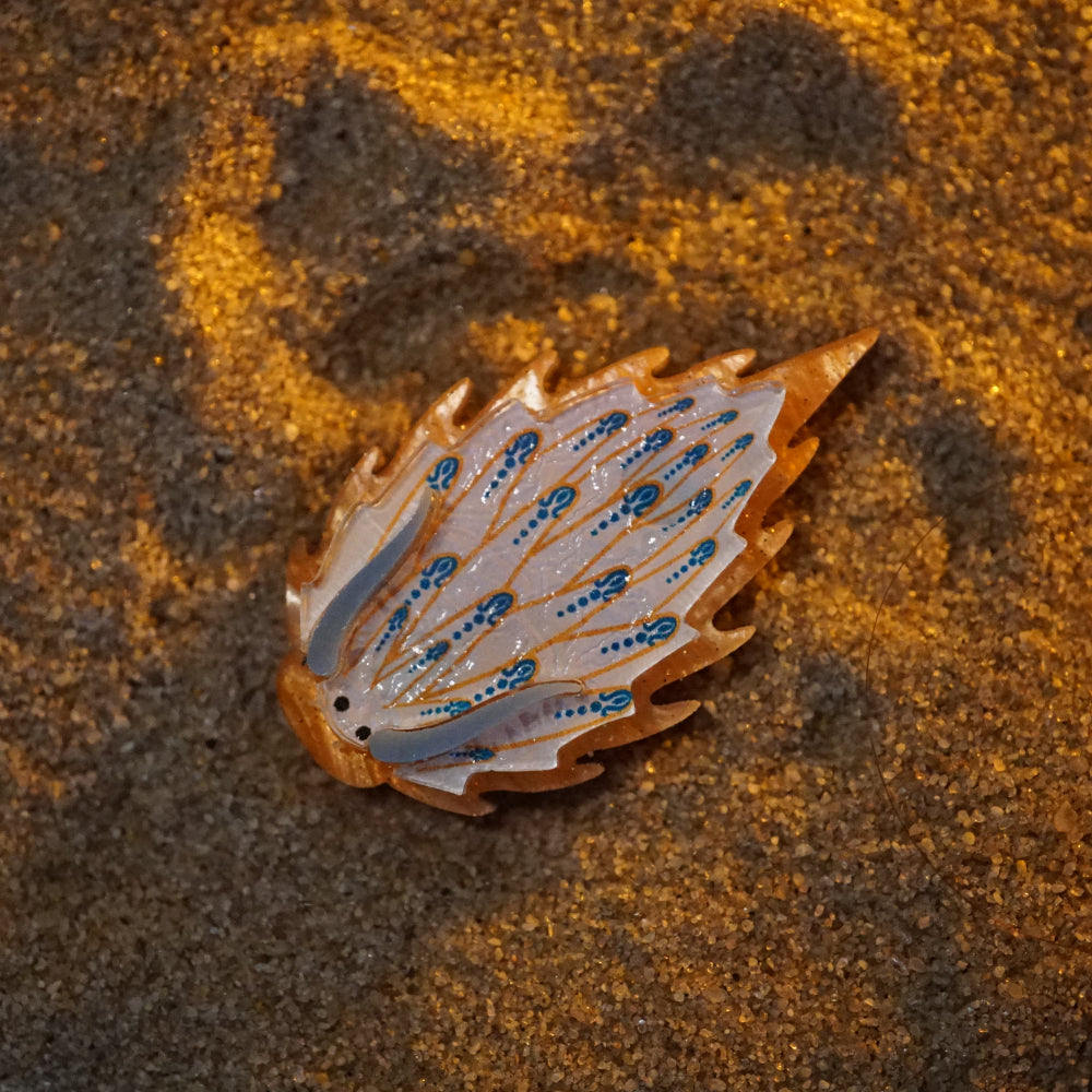 Nudibranch Magnetic Charms