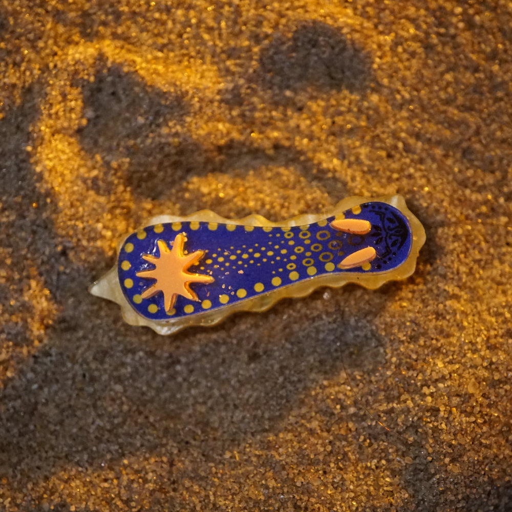 Nudibranch Magnetic Charms