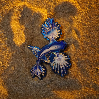 Nudibranch Magnetic Charms