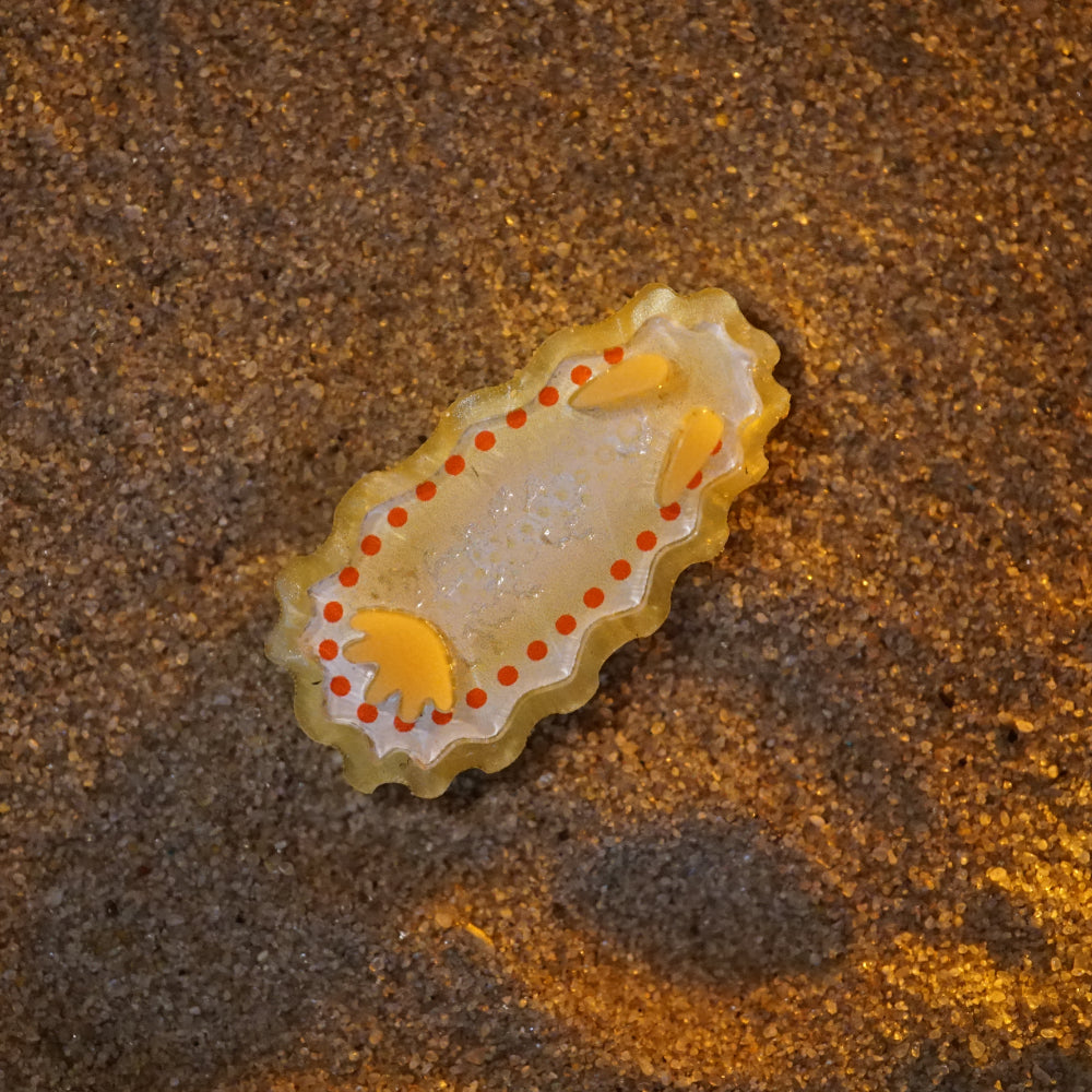Nudibranch Magnetic Charms