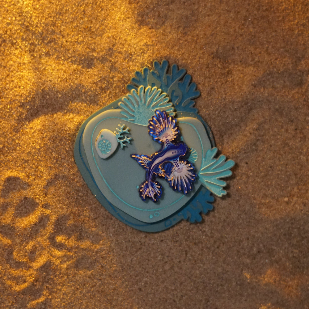Reef Brooch