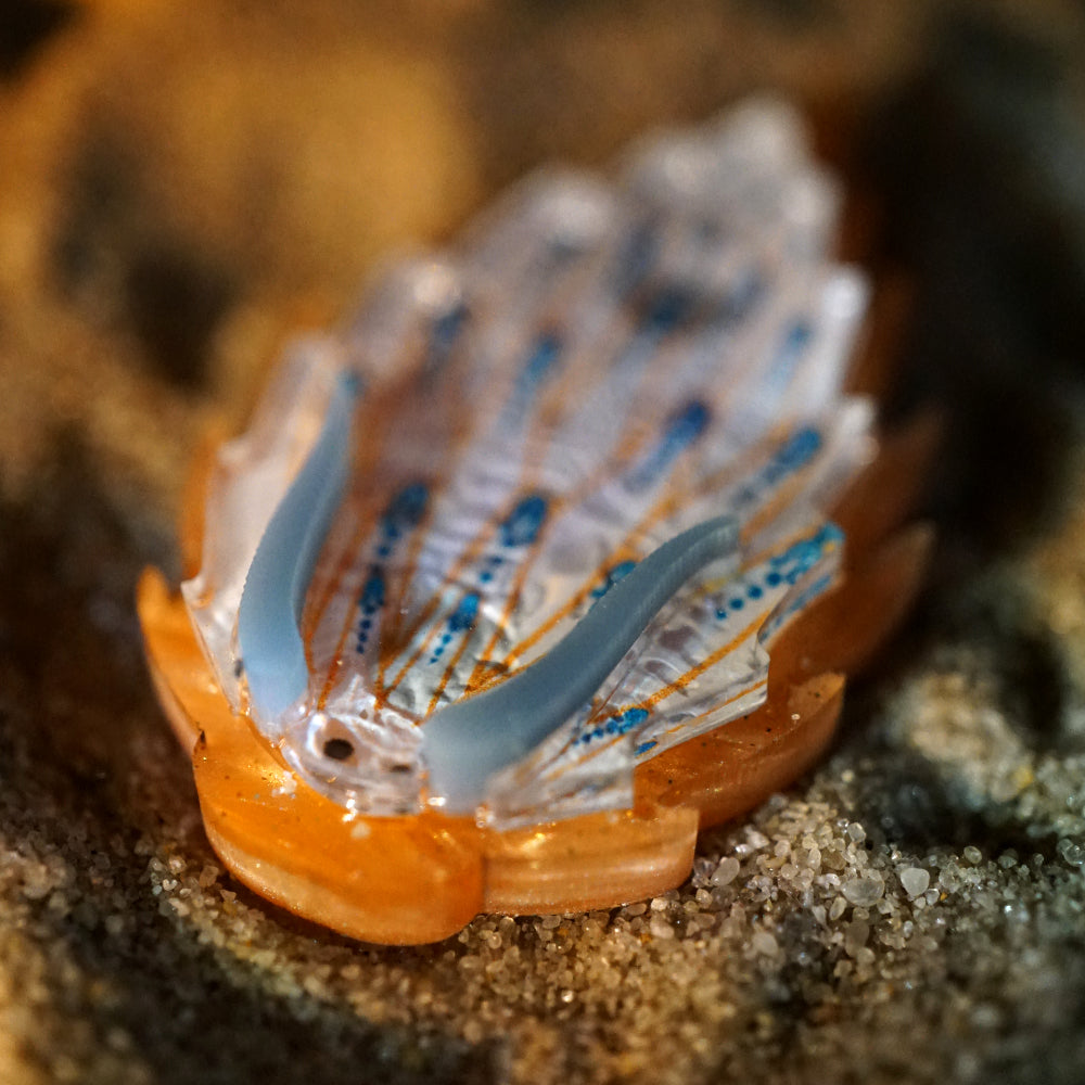 Nudibranch Magnetic Charms