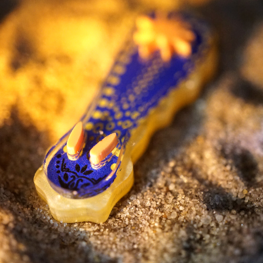 Nudibranch Magnetic Charms