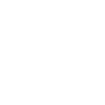Simple Circle - Lost Kiwi Designs
