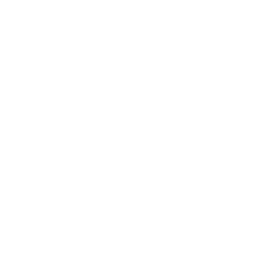 Simple Circle - Lost Kiwi Designs