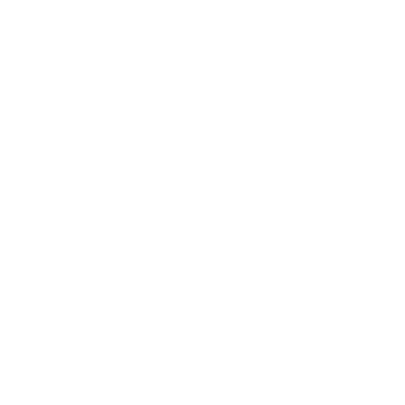 Favourite Shapes - Lost Kiwi Designs