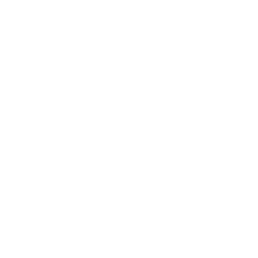 Favourite Shapes - Lost Kiwi Designs