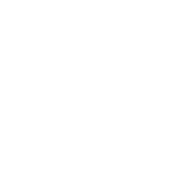 Heaps of Hoops - Lost Kiwi Designs