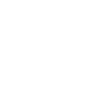 Jellyfish - Lost Kiwi Designs