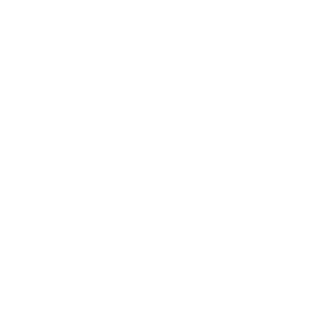 Lantern - Lost Kiwi Designs