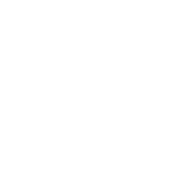 Mini Shapes - Lost Kiwi Designs