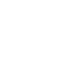 Organic 6 Petal Flower - Lost Kiwi Designs