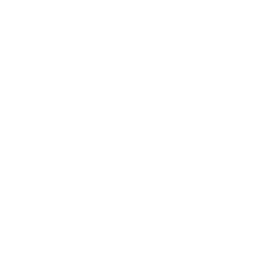 Organic 6 Petal Flower - Lost Kiwi Designs