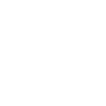 Ornamental Shapes Mix - Lost Kiwi Designs