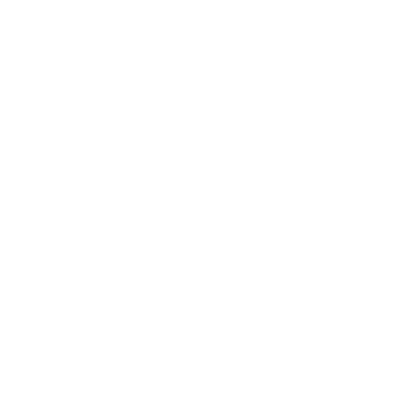 Circle Personality - Lost Kiwi Designs