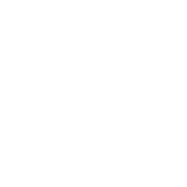 Sakura - Lost Kiwi Designs