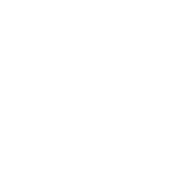 Unicorn - Lost Kiwi Designs
