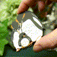 Penguin Brooch - Lost Kiwi Designs