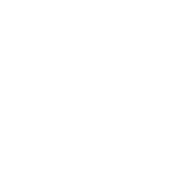 Archway - Lost Kiwi Designs