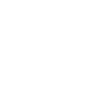 Archway - Lost Kiwi Designs