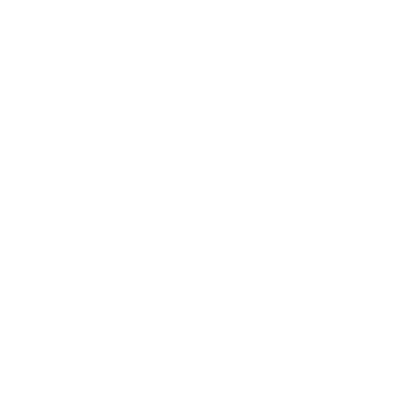 Bow - Lost Kiwi Designs