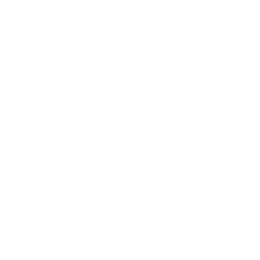 Bow - Lost Kiwi Designs