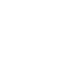 Cactus - Lost Kiwi Designs