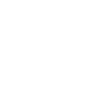 Chandelier - Lost Kiwi Designs