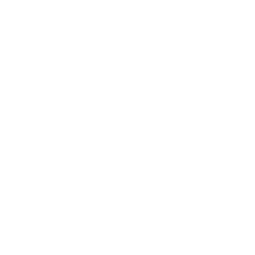 Flamingo - Lost Kiwi Designs