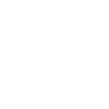 Flamingo - Lost Kiwi Designs