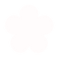 Flower Five Petals - Lost Kiwi Designs