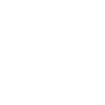 Flower Five Petals - Lost Kiwi Designs
