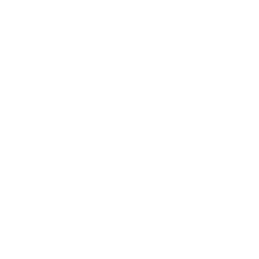 Half Circle - Lost Kiwi Designs