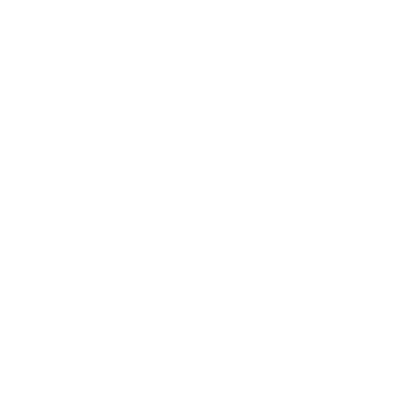 Half Circle - Lost Kiwi Designs